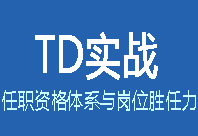 TD實戰(zhàn)：任職資格體系與崗位勝任力