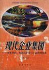 現(xiàn)代企業(yè)集團資本經(jīng)營、集團化擴張與工商管理實務