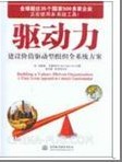 《驅動力——建設價值驅動型組織全系統(tǒng)方案》