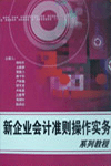 新企業(yè)會(huì)計(jì)準(zhǔn)則操作實(shí)務(wù)